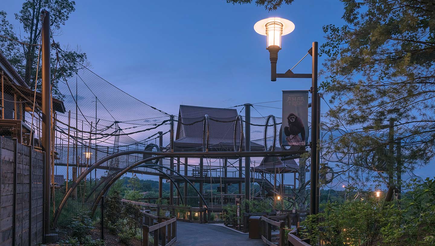 Eclipse luminaires light pathway in Knoxville Zoo