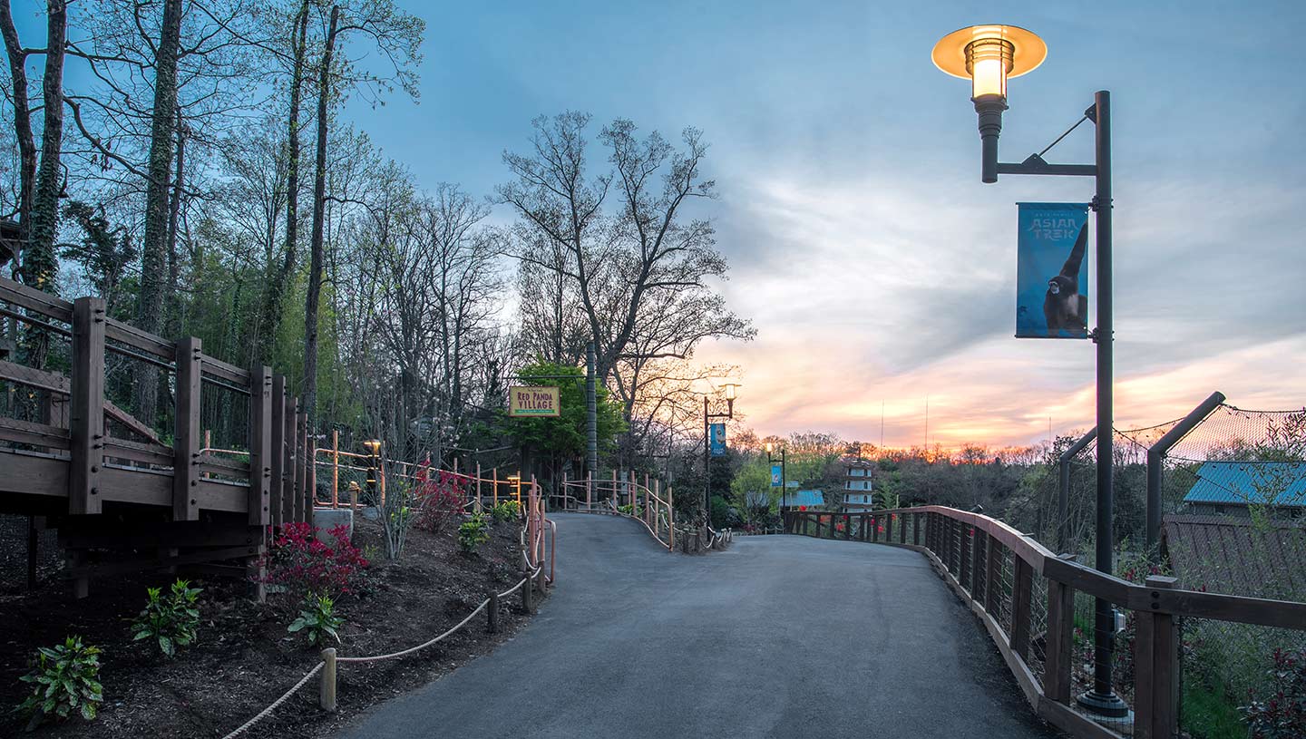 Eclipse lighting fixtures along pathway at dusk