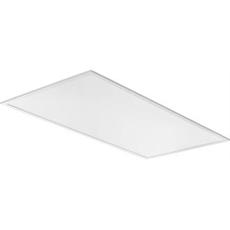CPX 2X4 2020.jpg