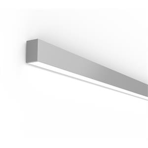 Silver Direct Wall with flush lens