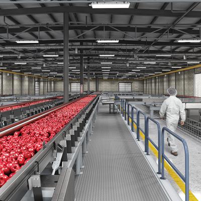 FHE LED - Food Processing — Cold Storage Luminaire