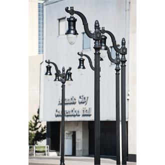ELC_ARM2.jpg