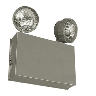 C42125 Emergency Lighting Unit