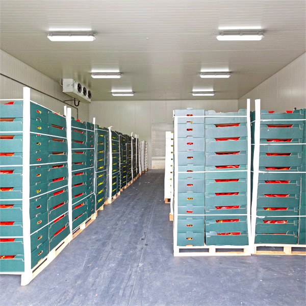 ProductItem
