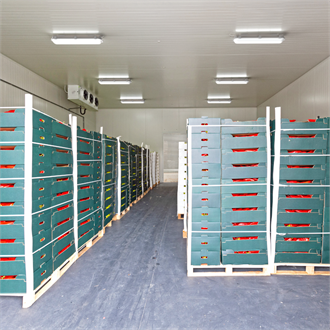 ProductItem
