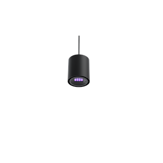 Black short pendant.png