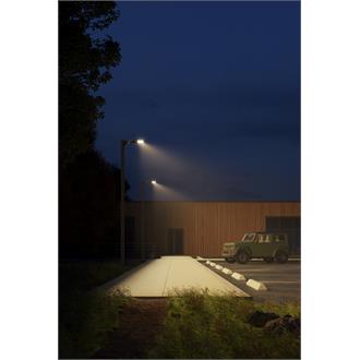 D-Series_Park_Night_BackLight Cutoff.jpg