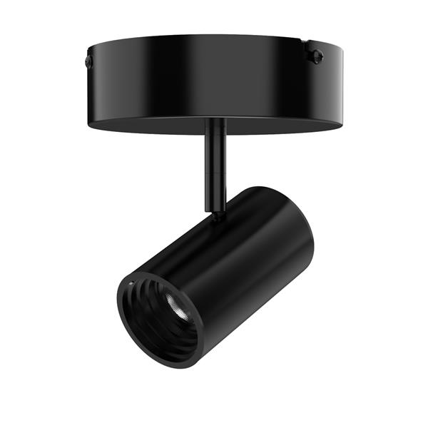 R606L CPY Canopy Mount Fixture - Trac-Lites™ Integral Driver