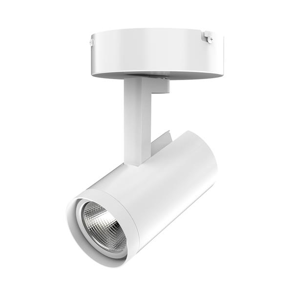 R612L CPY Canopy Mount Fixture - Trac-Lites™ Integral Driver R612L CPY Canopy Mount Fixture - Trac-Lites™ Integral Driver