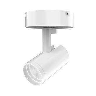 R620L CPY Canopy Mount Fixture - Trac-Lites™ Adjustable Beam