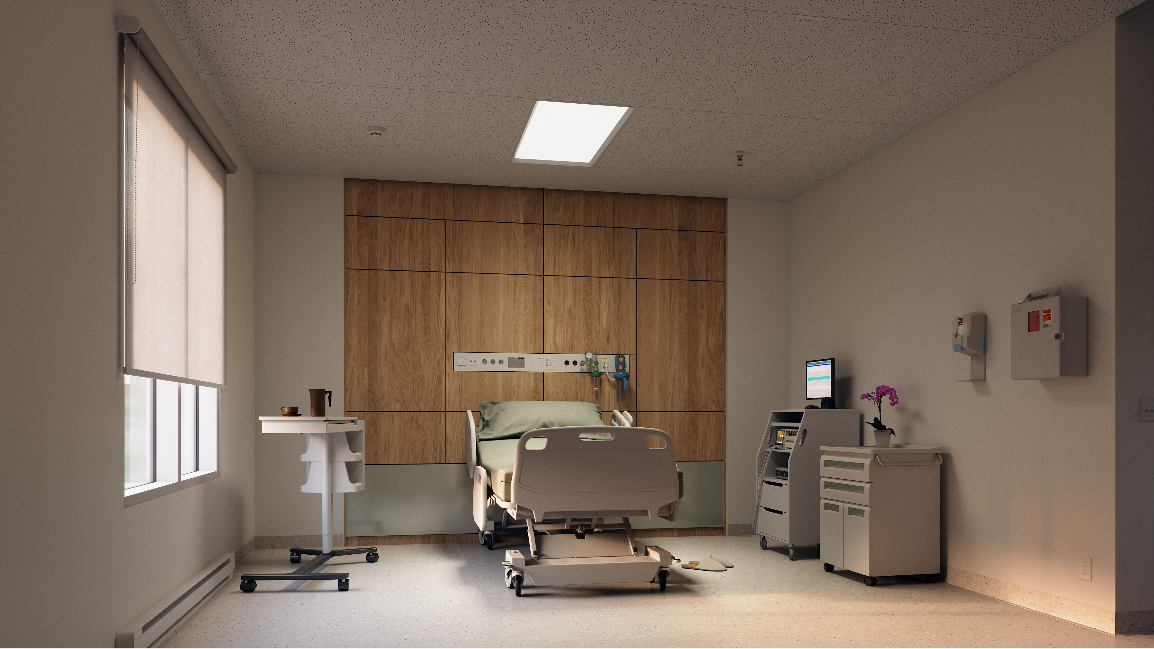 Observe patient room exam mode 150dpi.jpg