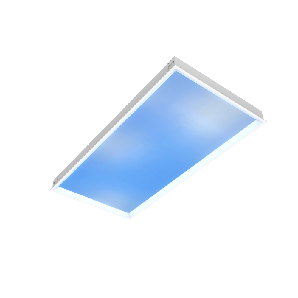 Observe™ cloud 2X4 fixture only.png