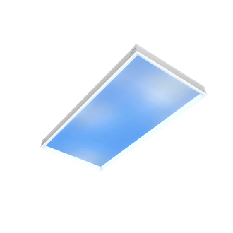 Observe™ cloud 2X4