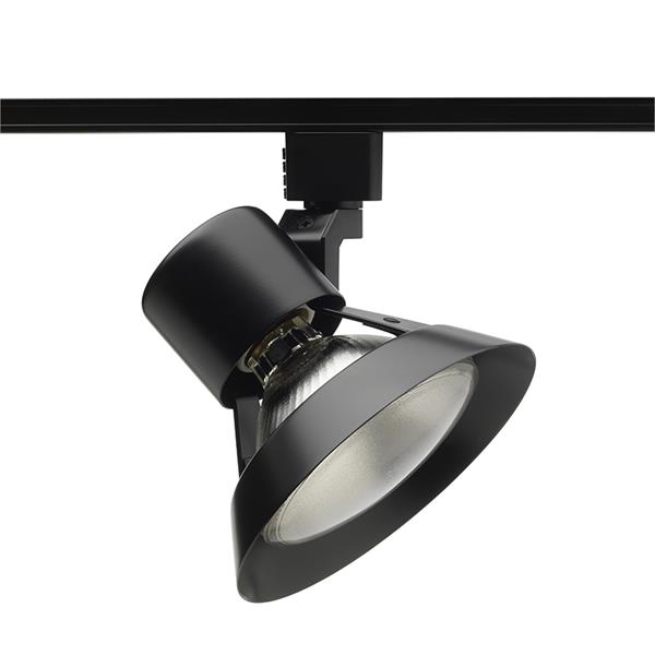 R532 Trac Head - Trac-Lites™ PAR30 Flared Gimbal Trac Head