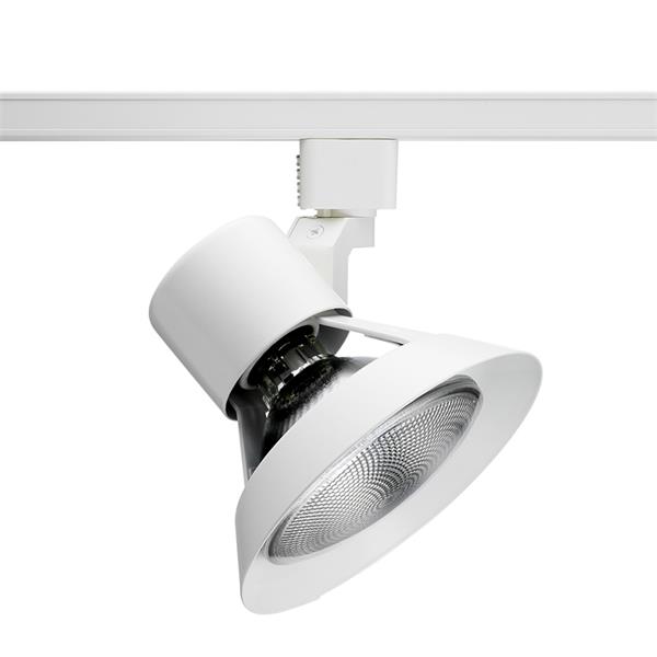 R532 Trac Head - Trac-Lites™ PAR30 Flared Gimbal Trac Head