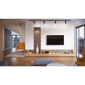 R605L BL_Living Room.jpg