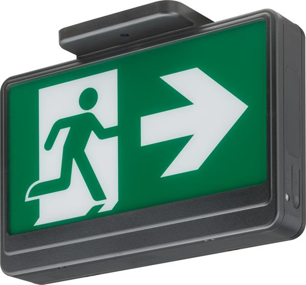 Emergency Light Sign NHE-29094